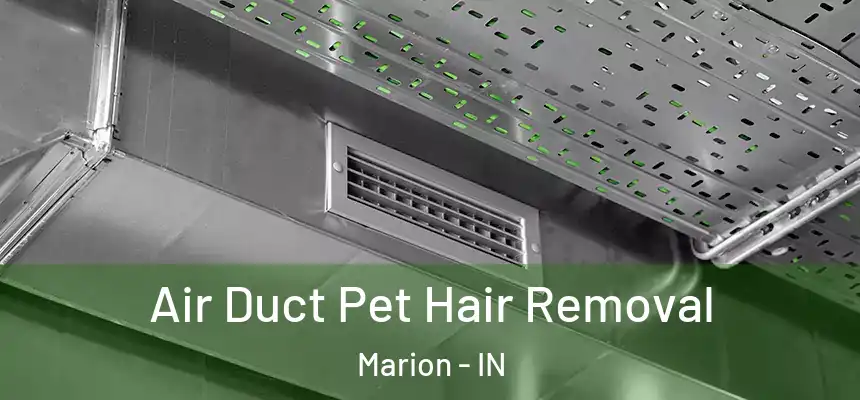  Air Duct Pet Hair Removal Marion - IN