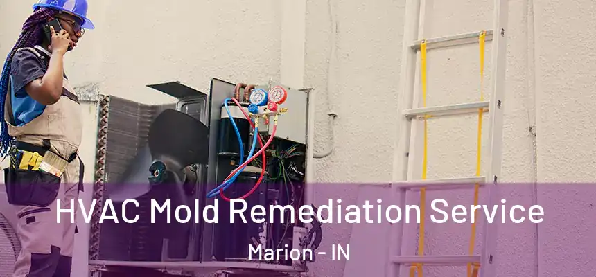 HVAC Mold Remediation Service Marion - IN
