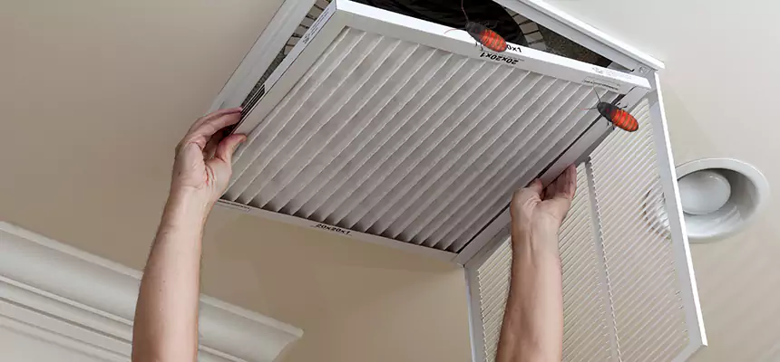 Our Insect Removal from Air Ducts Services in Marion, IN
