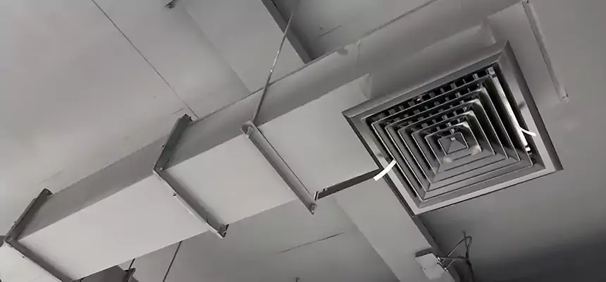 Our Rodent Droppings In Vents Services in Marion, IN