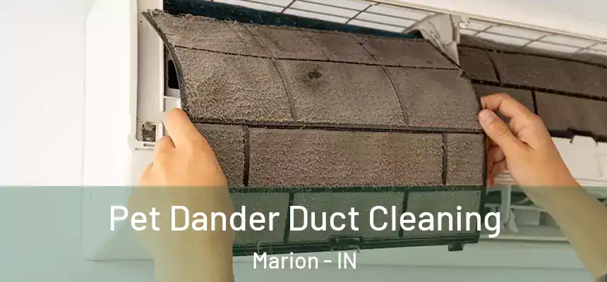  Pet Dander Duct Cleaning Marion - IN