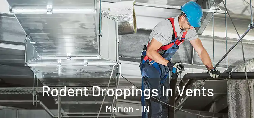  Rodent Droppings In Vents Marion - IN