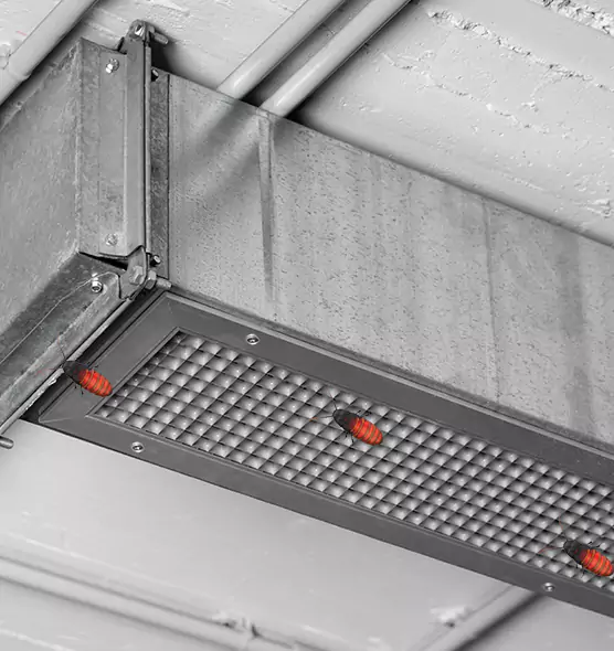 About Air Duct Cockroach Removal in Marion, IN