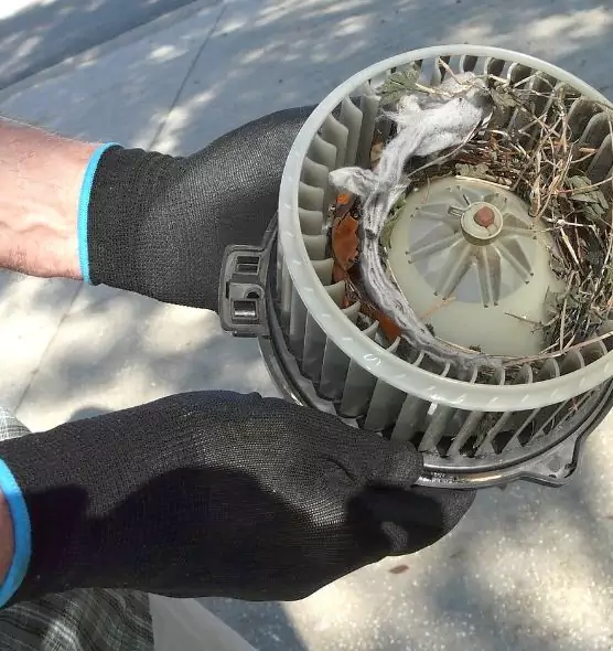 About Air Duct Rat Removal in Marion, IN