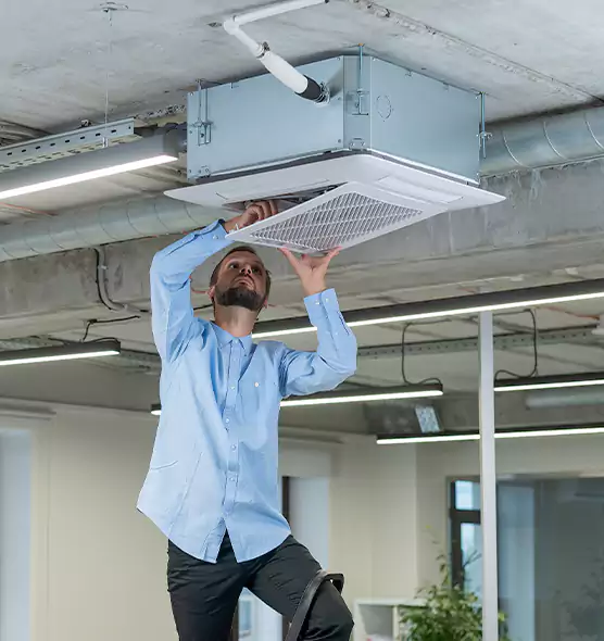 Advanced Rodent Droppings In Vents in Marion, IN