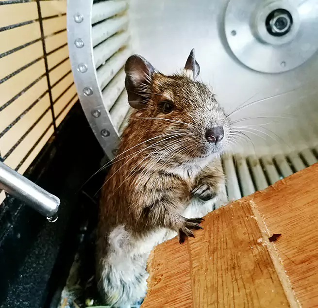 Why Homeowners & Businesses Trust Us Marion, IN