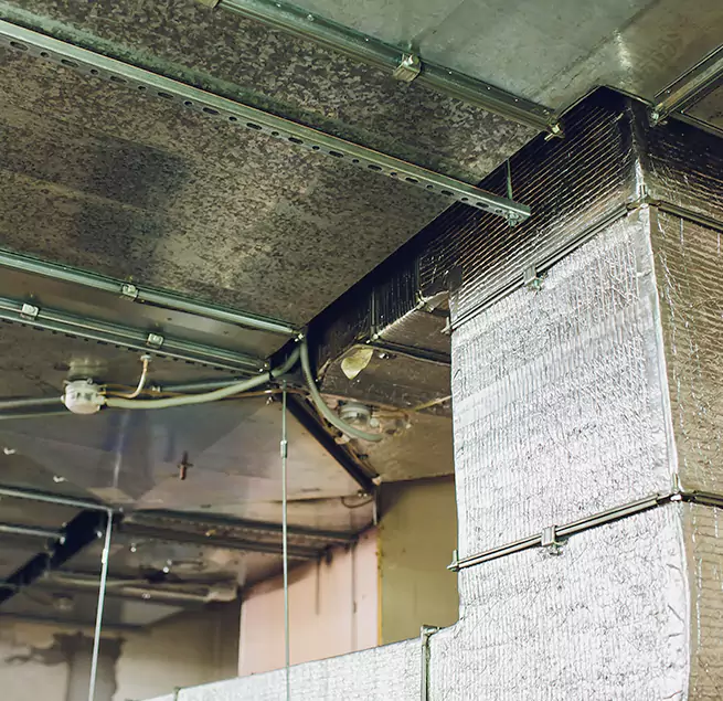 Why Homeowners & Businesses Trust Us in Marion, IN?